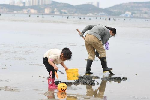 青岛八大关赶海攻略(青岛日出赶海攻略)插图3