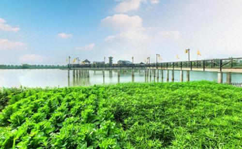 淮安的旅游景点有哪些(淮安十大必玩景点)插图31