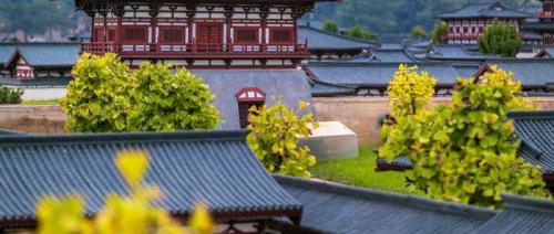 陕西十大旅游景点排名(陕西必去十大景点)插图8