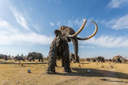 满洲里十大旅游景点(满洲里十大景点排行榜)插图3