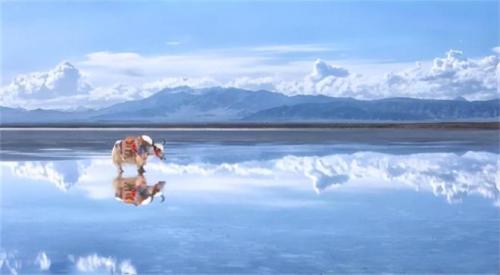 青海省十大旅游景点(青海十大最值得去的景点)插图5