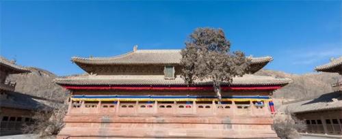 青海省十大旅游景点(青海十大最值得去的景点)插图7