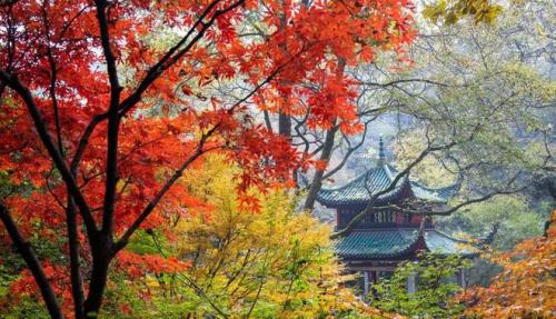 湖南十大旅游景点大全(盘点湖南最美的十大景点)插图13