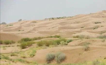 靖边十大旅游景点(盘点靖边那些绝美景色)插图4 靖边十大旅游景点(盘点靖边那些绝美景色)插图4