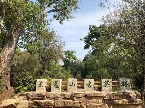 普洱十大旅游景点(普洱十大必打卡景区)插图21