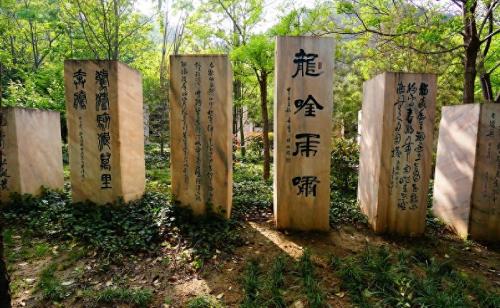郑州十大旅游景点图片(郑州十大必玩景点)插图11
