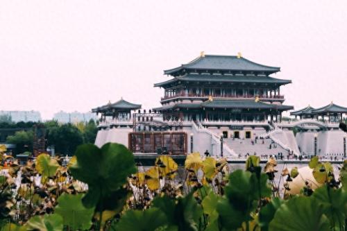 西安十大旅游景点博雅(西安旅游一定要打卡的十大景点)插图5