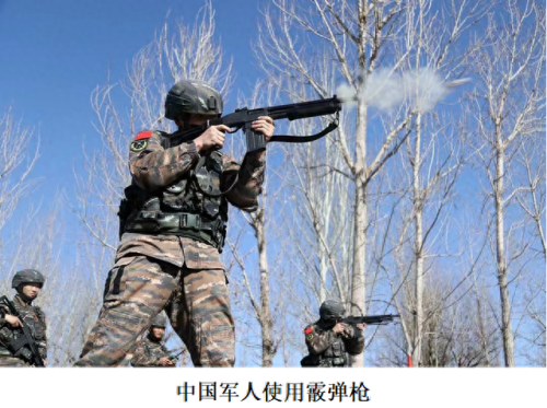 中国十大最佳霰弹枪排行榜(12号霰弹可以打死熊吗)插图