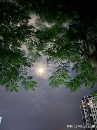 十大经典夫妻小说排行榜(十大堪称神作的小说)