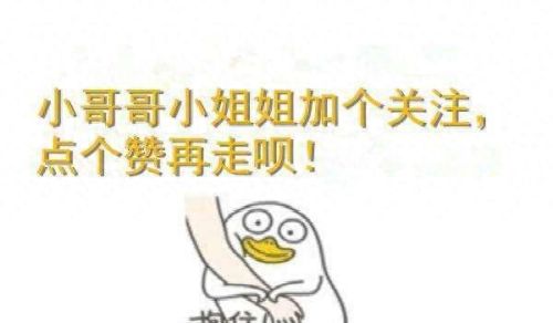 小猫宠物牌子排名前十(kojima宠物牌子介绍)