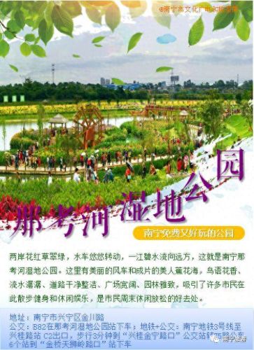 南宁十大好玩的地方排行榜(去南宁必吃十大美食)插图10