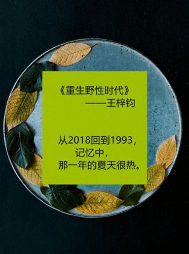 穿越知青小说十大排行榜(重生男主下乡插队小说)插图4