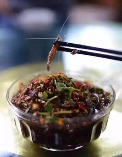 西昌羊肉排名前十(西昌羊肉多少钱一斤)插图5
