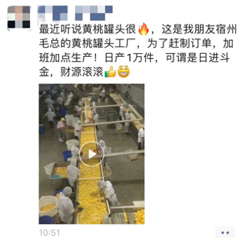 2019年十大罐头排行榜(中国罐头十强企业)插图3