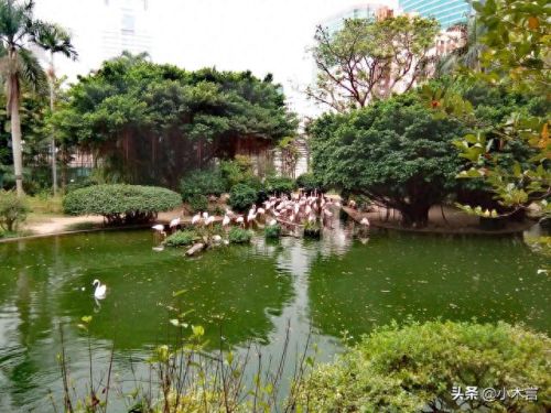 香港高端景点排名前十(香港的特色景点排名)插图9