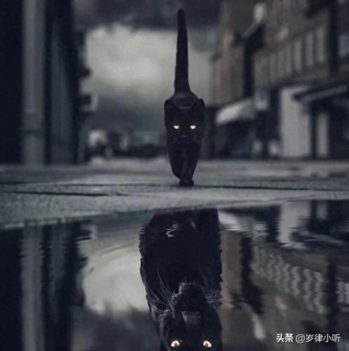 超级恐怖音乐十大排行榜(啊啊的女声那个恐怖音乐叫啥)插图2