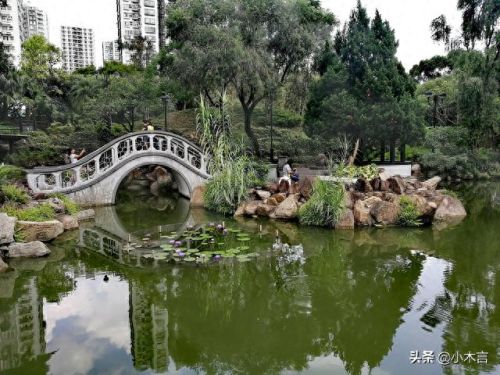 香港高端景点排名前十(香港的特色景点排名)插图20