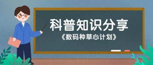 国产十大小音箱排行榜最新(国产小音箱哪个牌子好)