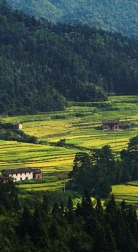 农村十大赚钱门道具排行榜(旅游十大赚钱商机)