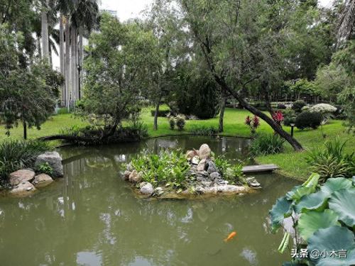香港高端景点排名前十(香港的特色景点排名)插图17