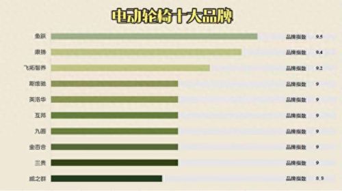 电动轮椅十大品牌排行榜图片(电动三轮十大品牌)