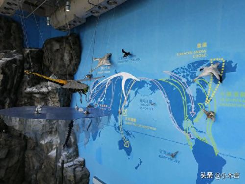 香港高端景点排名前十(香港的特色景点排名)插图27