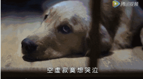 实体广告企业排名前十(广告企业介绍范文)插图7