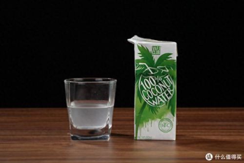 椰汁减肥牌子排名前十(椰汁减肥靠谱吗)插图31