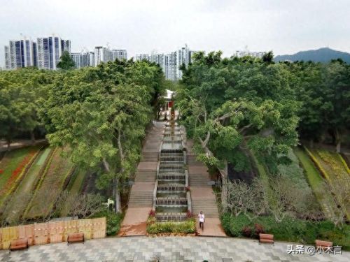 香港高端景点排名前十(香港的特色景点排名)插图22