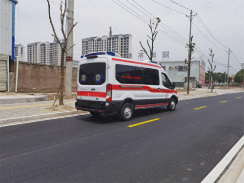 十大转运车排行榜大全图片(十大最肉的车)插图8