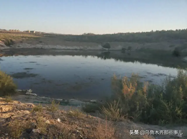 新疆城市别墅排名前十(新疆十大城市排名)