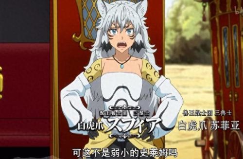 魔导术士导师排名前十(魔导士讲师)插图4
