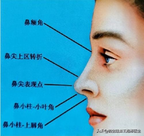 鼻高光十大排行榜(鼻影高光排行榜10强)插图