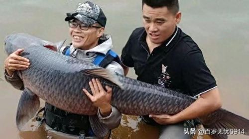 网上钓鱼专家排名前十(十大钓鱼达人排名)插图3