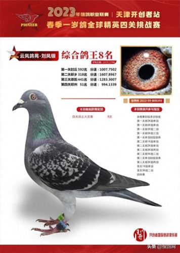 中国十大名鸽家排行榜(中国赛鸽网赛事直播)插图7