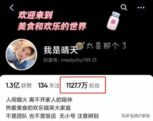 全东北十大网红排行榜(东北三农网红名单)插图1