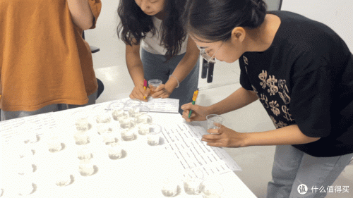 椰汁减肥牌子排名前十(椰汁减肥靠谱吗)插图10