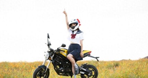 全球十大mini摩托车排行榜(mini全球销量排行榜)