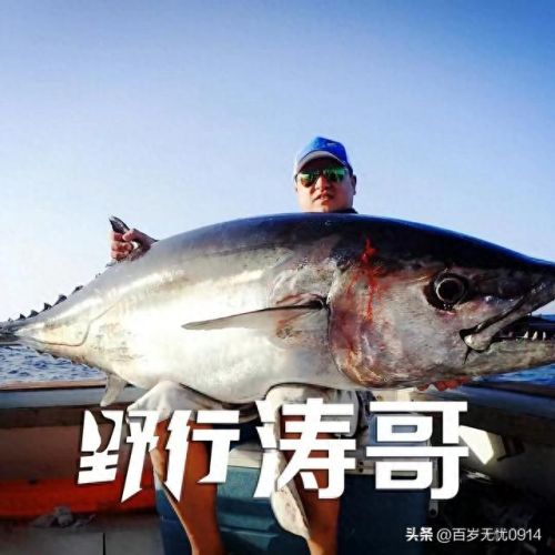 网上钓鱼专家排名前十(十大钓鱼达人排名)插图7