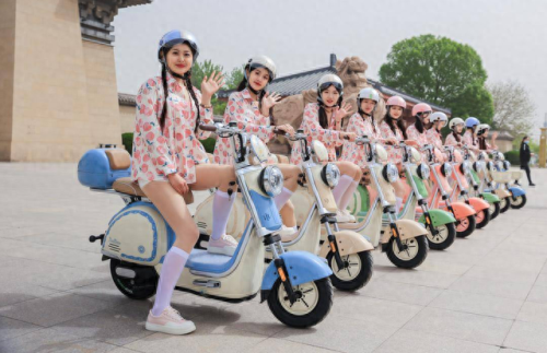 十大品牌电动车的排行榜(电动车第一名)插图3