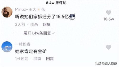 全东北十大网红排行榜(东北三农网红名单)插图4