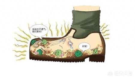 脚底痒药膏十大排行榜(足底痒预示十种疾病)插图1