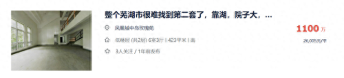 芜湖最佳别墅排名前十(芜湖三山区桃花源别墅拍卖)插图9