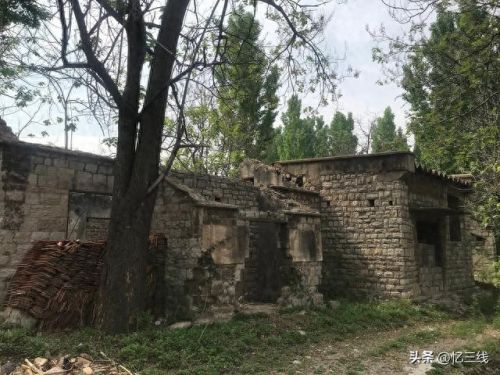 山东十大品牌缝纫机排行榜(家用缝纫机十大名牌有哪些)