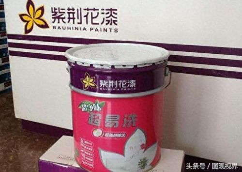 喷塑漆十大品牌排行榜最新(璐宝漆是几线品牌)插图7