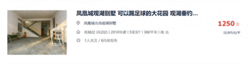 芜湖最佳别墅排名前十(芜湖三山区桃花源别墅拍卖)插图4