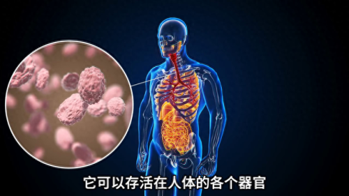 世界病毒十大排行榜最新(世界十大最强的计算机病毒)插图2