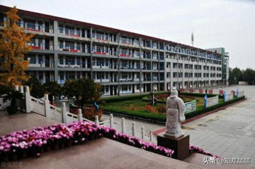 河南淮阳名吃十大排行榜(淮阳必吃十大馆子)插图