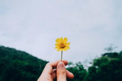 十大解决焦虑的书籍排行榜(抑郁书籍排行榜前十名)