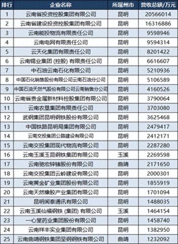 临沧十大公司排行榜名单(临沧强力集团)插图3